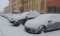 Erzurum'da Kış Şartları: Kar Kalınlığı 40 Santimetreyi Aştı