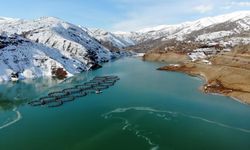 Erzincan'da bulunan Göyne Sulama Barajı, soğukların esiri oldu