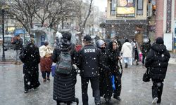 Meteoroloji uyardı: Erzincan'da kuvvetli kar yağışına dikkat!