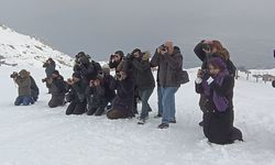 Erzincan’da fotoğrafçılık eğitimi sahada devam etti