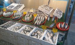 Erzincan'da güncel balık fiyatları