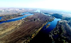 Fırat Nehri nerede? Siyanür sızıntısı var mı?