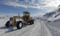 Erzincan'da köy yolları kapandı