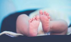 Kan donduran internetten bebek satışı haberine bakanlıktan açıklama