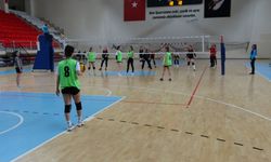 Erzincan'da Dünya Kadınlar Günü'ne özel voleybol turnuvası başladı