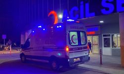 Tercan'da trafik kazası: 7 yaralı