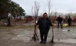 Erzincan Bahçe Kültürleri’ nde fidanlar çok ucuz!