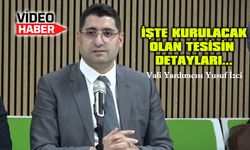 Erzincan’da koyun sütü toplama merkezi kuruluyor