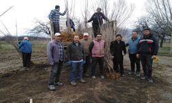 Erzincan’da “Ata Mirası Meyvelerin Geleceğe Taşınması Projesi” hayata geçiyor