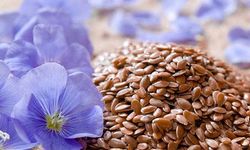 Mucizevi etkileri olan keten tohumunun faydaları nelerdir?