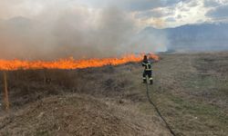 Erzincan'da arazi yangını meydana geldi