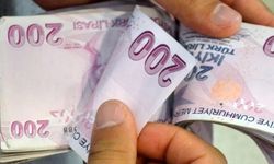 Yeni 200 TL ve 50 TL'lik banknotlar tedavüle girdi