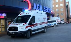 Erzincan’da bir kişi ayı saldırısına uğradı