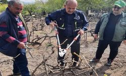 Erzincan’da Çiftçilere özel destek veriliyor
