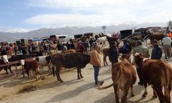 Erzincan’da hayvan pazarından kurbanlıklar görücüye çıktı:. İşte kurbanlık fiyatları