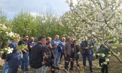 Erzincan’da “Meyve Ağacı Budama" kursu verildi