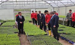 Erzincan'da okul bahçesinde organik sebzeler yetiştiriliyor
