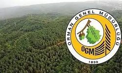Orman Genel Müdürlüğü rekor seviyede personel alımı yapacak!