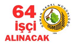 İŞKUR’dan duyuru! Orman Genel Müdürlüğü 64 işçi alacak
