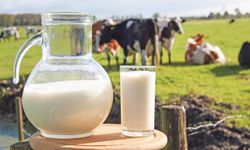 Sütün taşmasını engelleyecek yöntemler nelerdir?