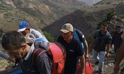 Erzincan’da bir kadın dağdan aşağı düştü!