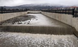 Erzincan’daki Vasgirt Deresi karların erimesiyle yeniden canlandı