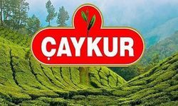 2024 ÇAYKUR yaş çay fiyatları