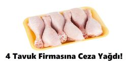 4 Tavuk Firmasına Ceza Yağdı!