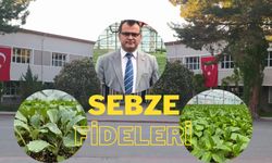 Erzincan’da sebze fideleri satışa çıkıyor