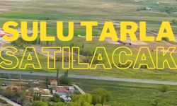 Erzincan’da cazip fiyatla 6 adet sulu tarla satılacak