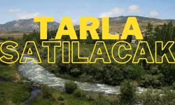 Erzincan’da cazip fiyata tarla satışı