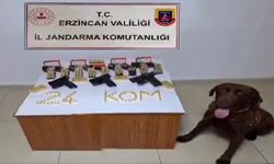 Erzincan’da silah kaçakçısı yakalandı: 1 tutuklama