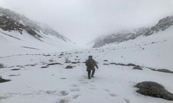 Erzincan’ın yüksek kesimlerinde kar yağışı oldu
