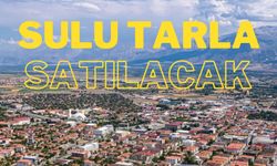 Milli Emlak’tan uygun fiyata 30 adet sulu tarla satışı