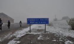 Pülümür’ün yüksek kesimlerinde kar yağışı etkili oldu