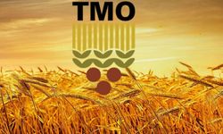 TMO Mayıs ayı hububat satış fiyatları açıklandı
