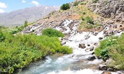 Tunceli Valiliği'nden Munzur gözelerine yasak kararı