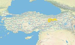 Türkiye Arıcılık Haritası Yayınlandı! Erzincan’ın Haritadaki Durumu Nedir?