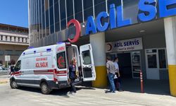 Erzincan'da acemi kasaplar hastanelere koştu