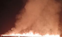 Korkutan yangın: 100 dönümlük ekili alan zarar gördü