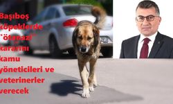 Başıboş köpeklerde "ötanazi" kararını kamu yöneticileri ve veterinerler verecek