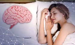 Beynimiz uykuda ne yapıyor? İşte beyninizin planları