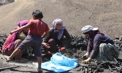 Erzincan’da mangal kömürü üretmek için gece gündüz çalışıyorlar