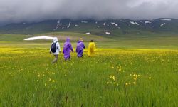 Erzincan’ın Çimen Yaylası görenleri hayran bırakıyor