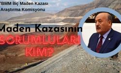 Karaman, İliç’te maden kazasında sorumlular kim?