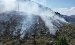 Kemaliye’de korkutan mera yangını