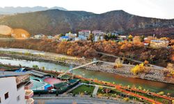 Tunceli’de Belediye Başkan Yardımcısı tutuklandı