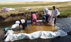 Erzincan'da buğday hasadıyla kışa hazırlık başladı