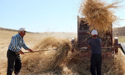 Erzincanlı çiftçiler 36 derece sıcaklıkta kışlık yiyecek hazırlıyor
