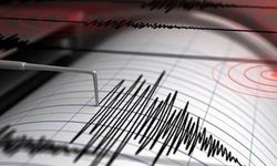 Bingöl'de deprem korkuya neden oldu